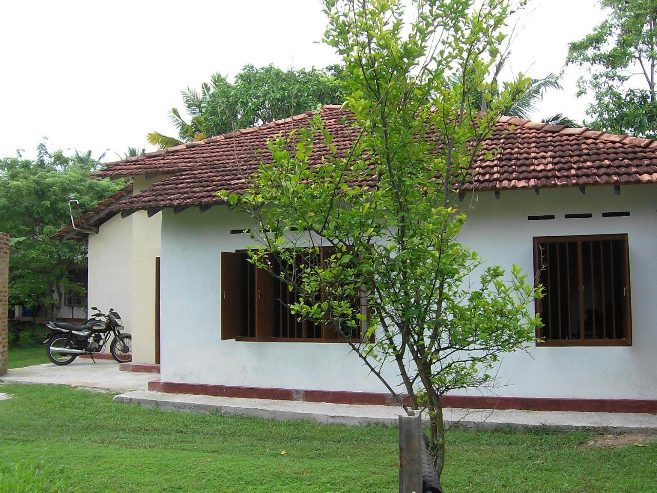 ווליגאמה Mendis Cottage מראה חיצוני תמונה